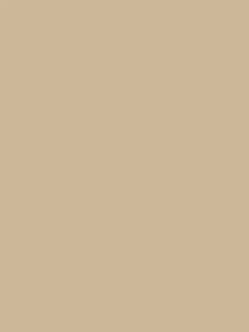 TEST — Beige
